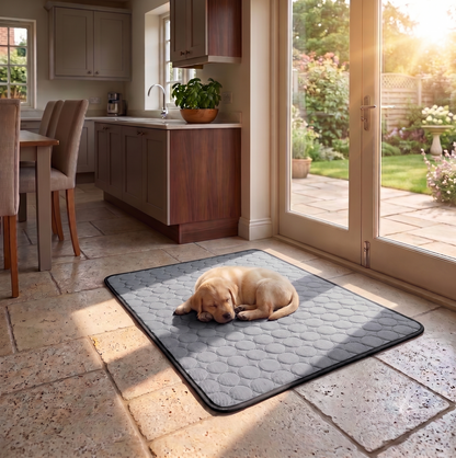 Little Happy Tails Pet Cooling Blanket